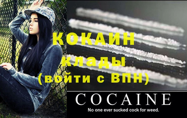 шишки Балабаново