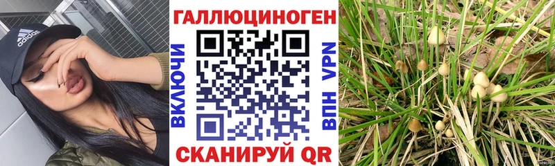 ОМГ ОМГ tor  Салехард  Галлюциногенные грибы GOLDEN TEACHER 